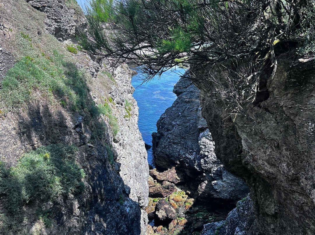 Driv’in Belle-Ile-Le Palais必去景点