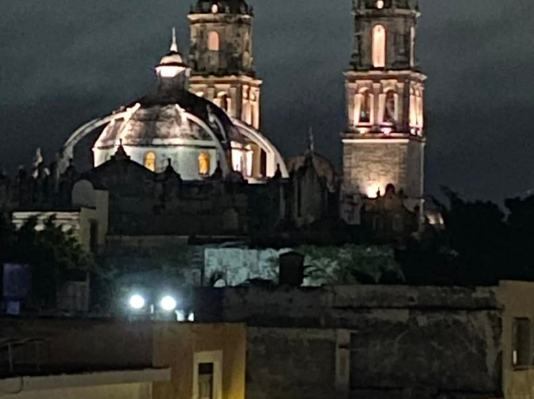 Terraza 49