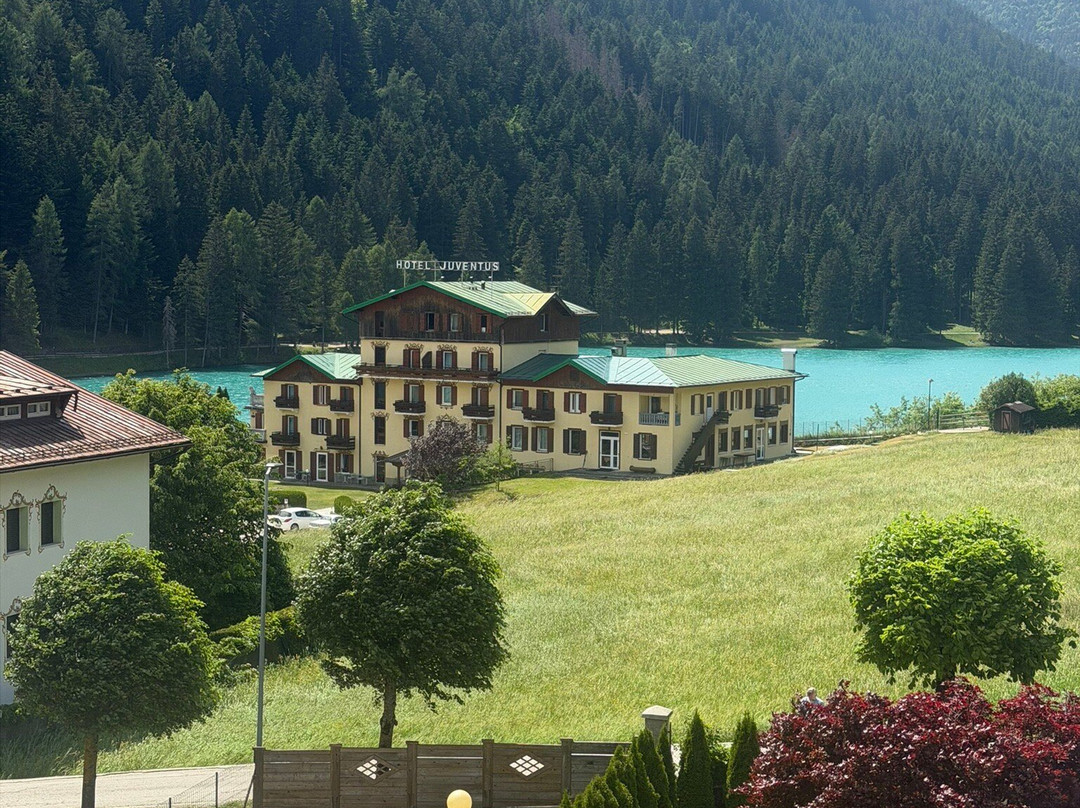 Hotel Panoramic主图