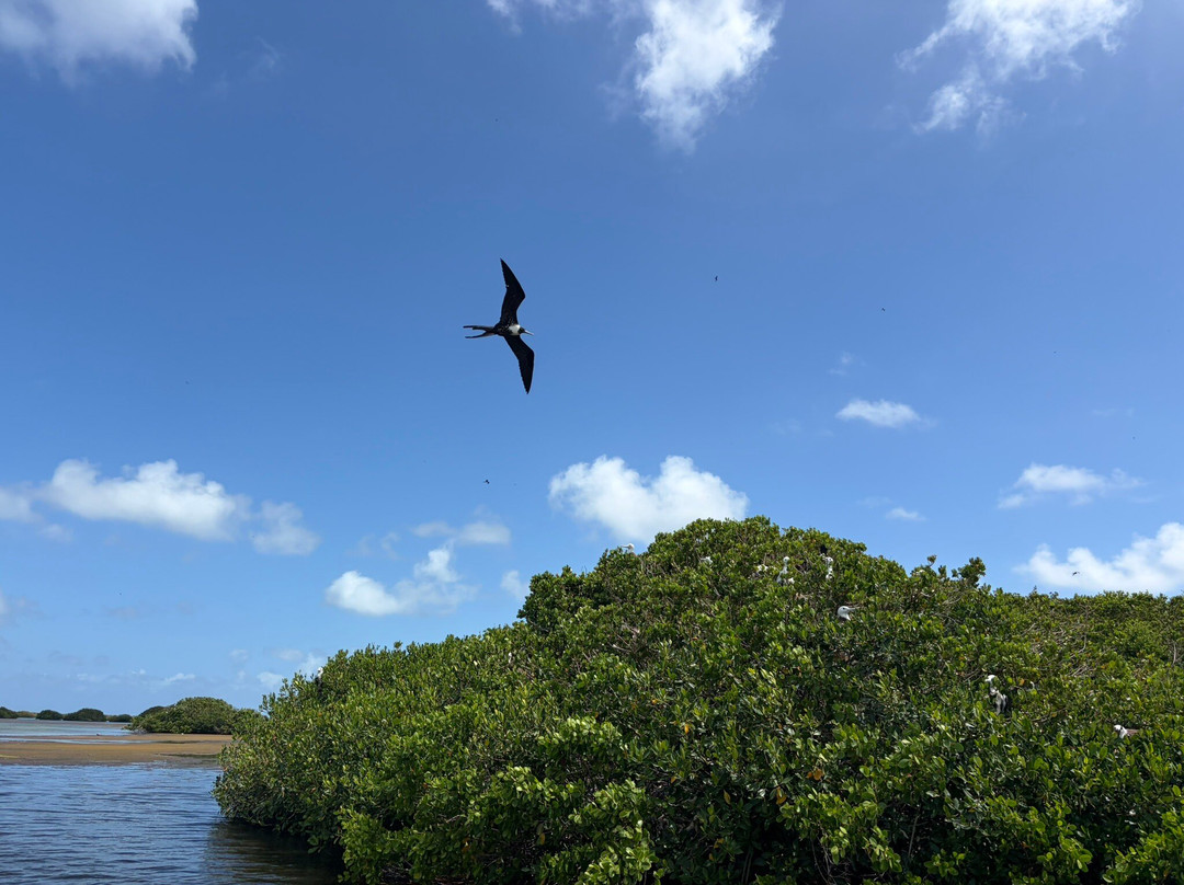 Barbuda Leisure Day Tours-巴布达必去景点
