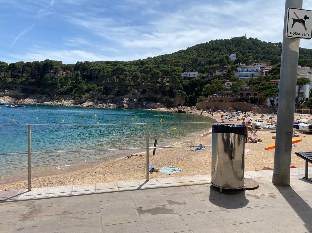 Tamariu Beach-Tamariu必去景点