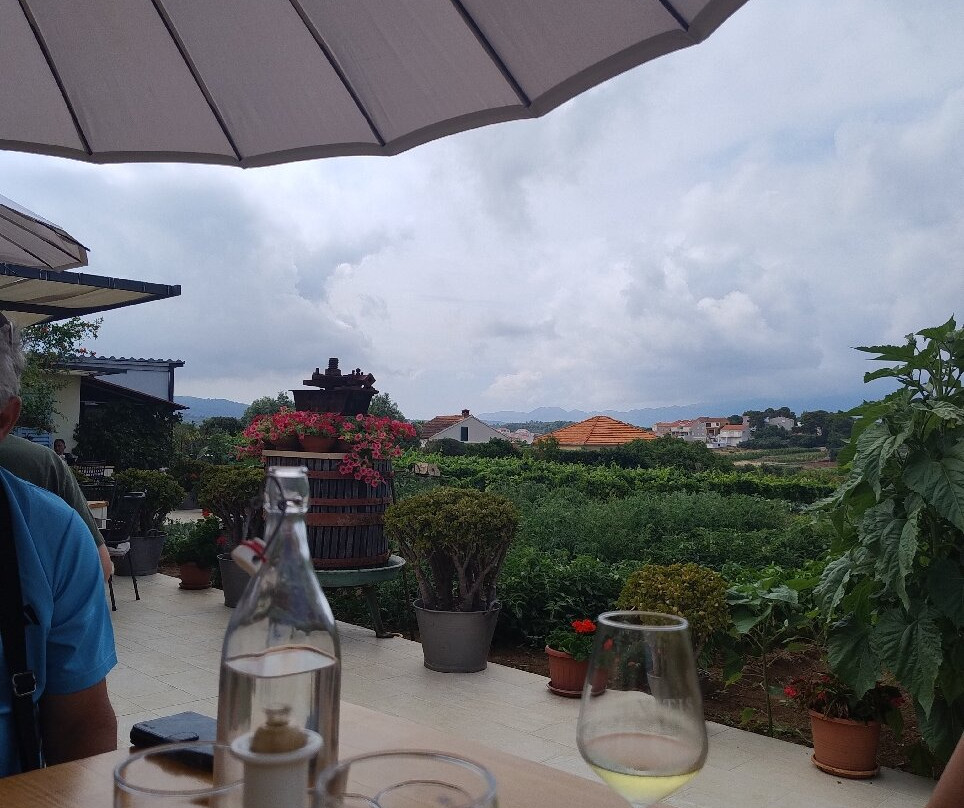 Vitis Winery-伦巴达必去景点