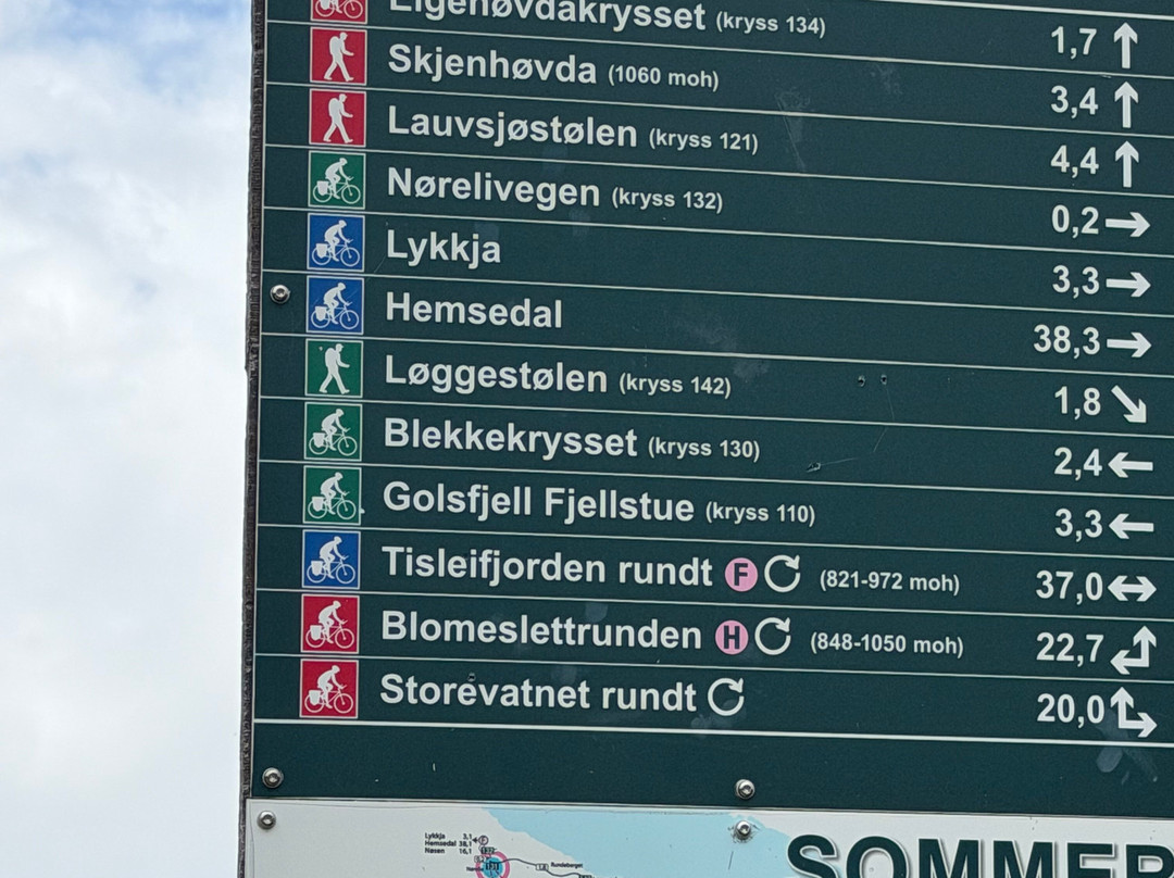 Round Trip of Tisleifjorden Golsfjellet-古尔必去景点