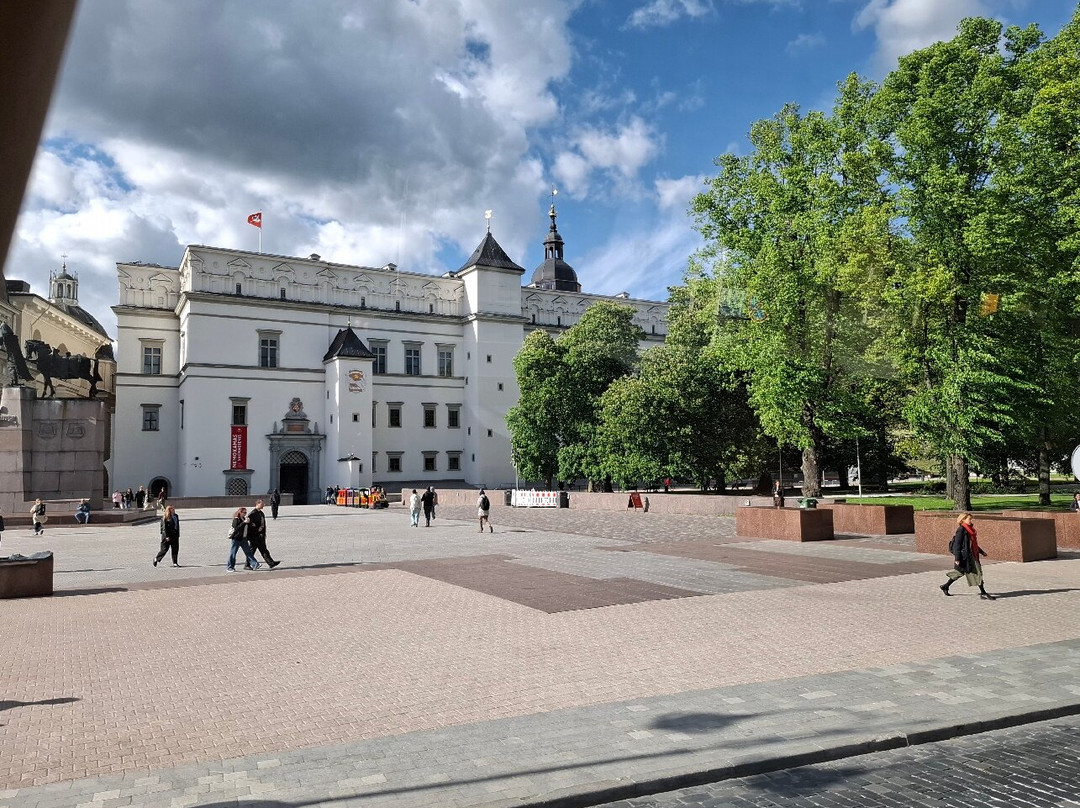Vilnius Cathedral Square-维尔纽斯必去景点