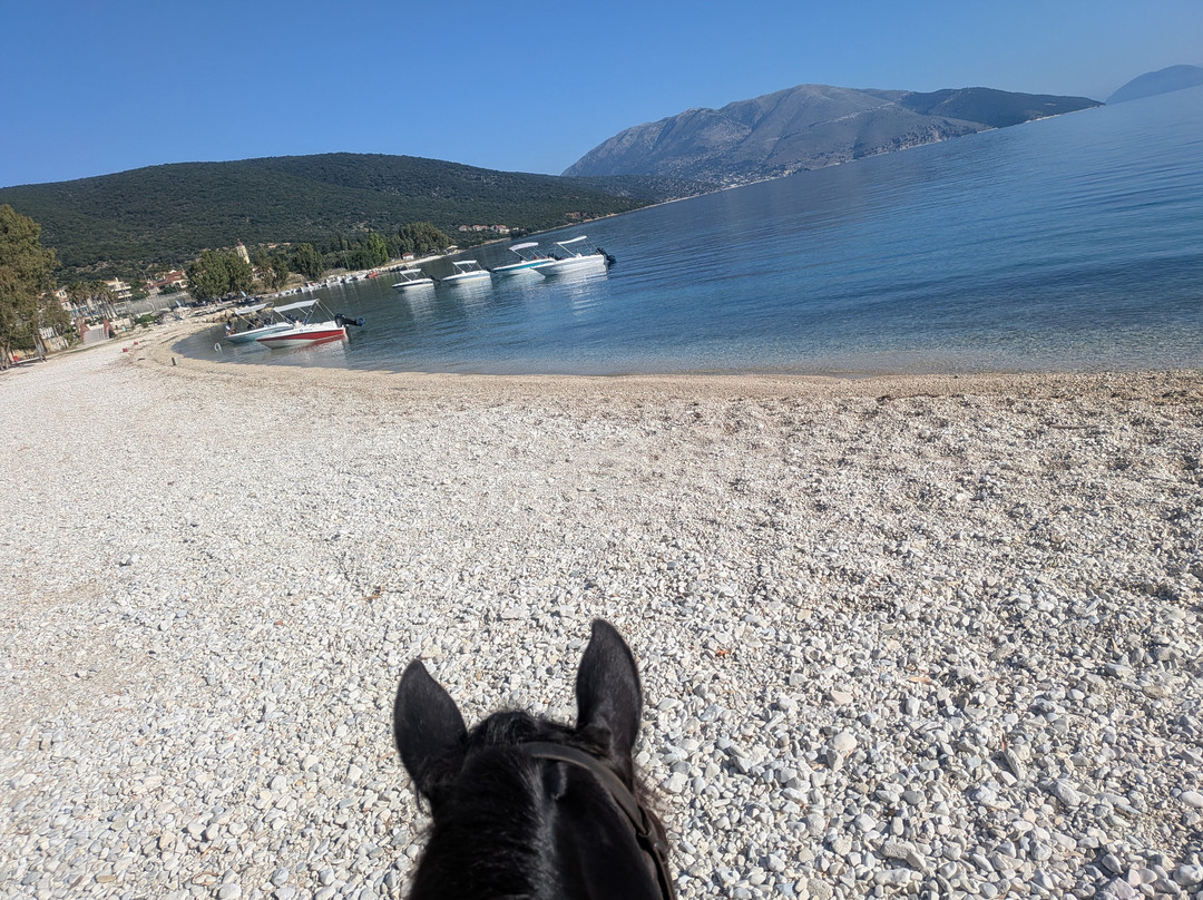 Kefalonia's Horse Riding Stable-萨米必去景点