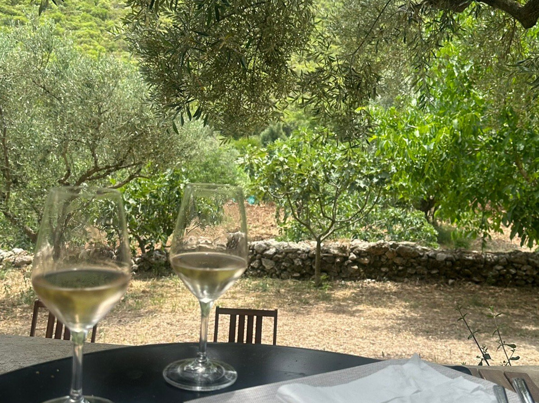 Goumas Estate - Art & Wine Winery-Maries必去景点