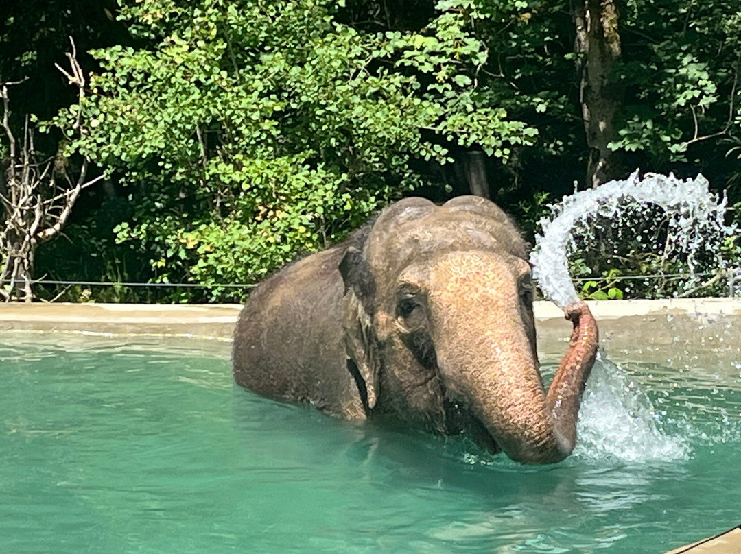 Zoo Ljubljana-卢布尔雅那必去景点