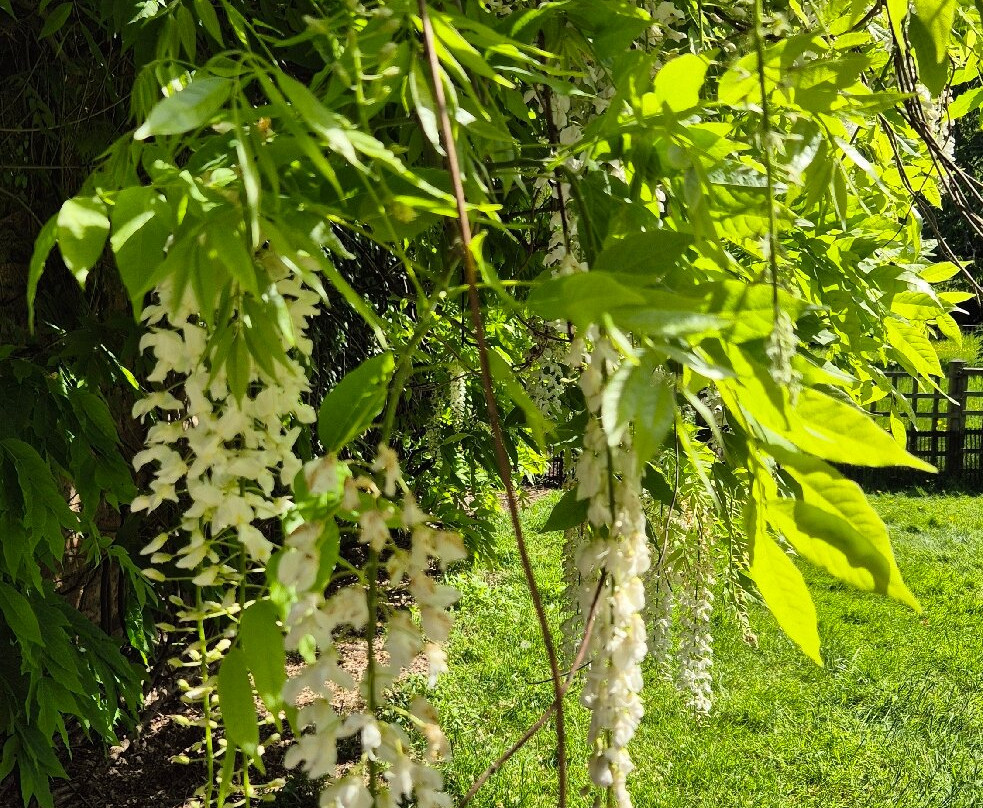 Arley Arboretum & Gardens-Upper Arley必去景点