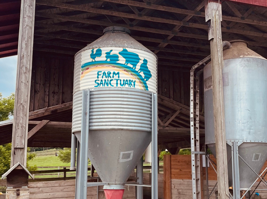Farm Sanctuary主图