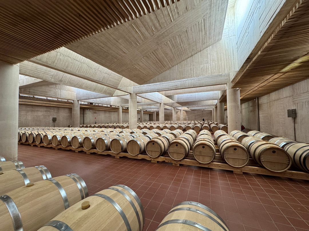 Pago de Carraovejas Winery-Penafiel必去景点
