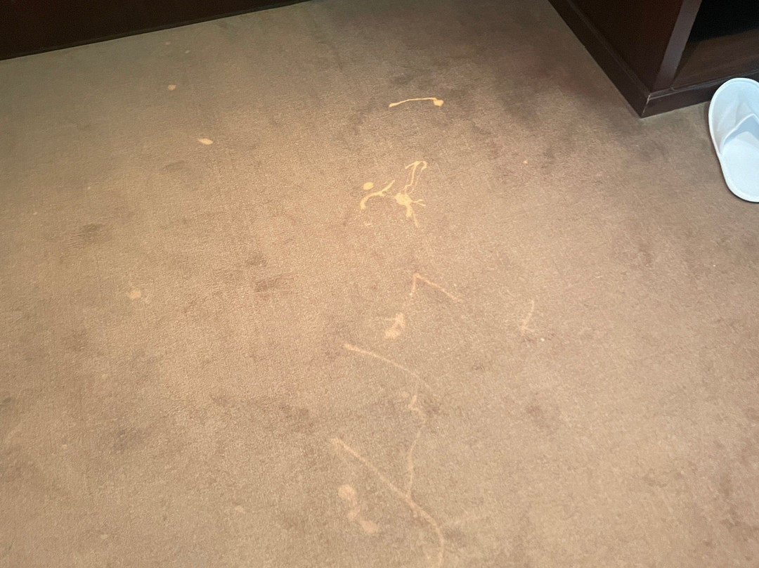 克鲁卡西米希酒店主图