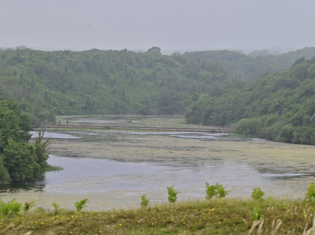 Stackpole Quay-Stackpole必去景点
