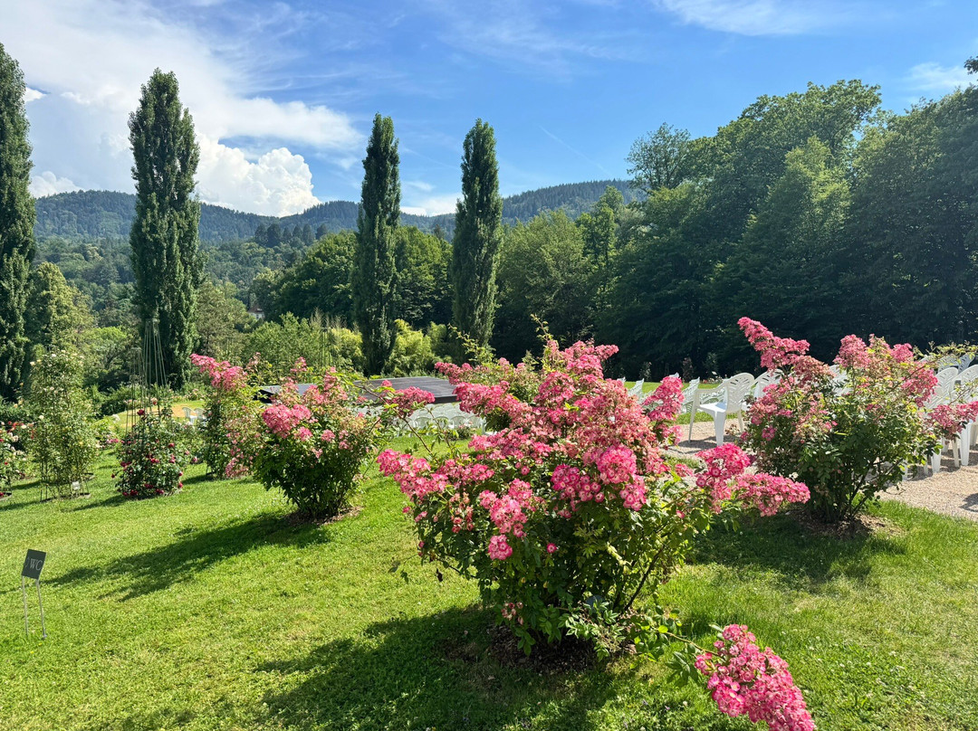 Garten der Rosenneuheiten-巴登巴登必去景点