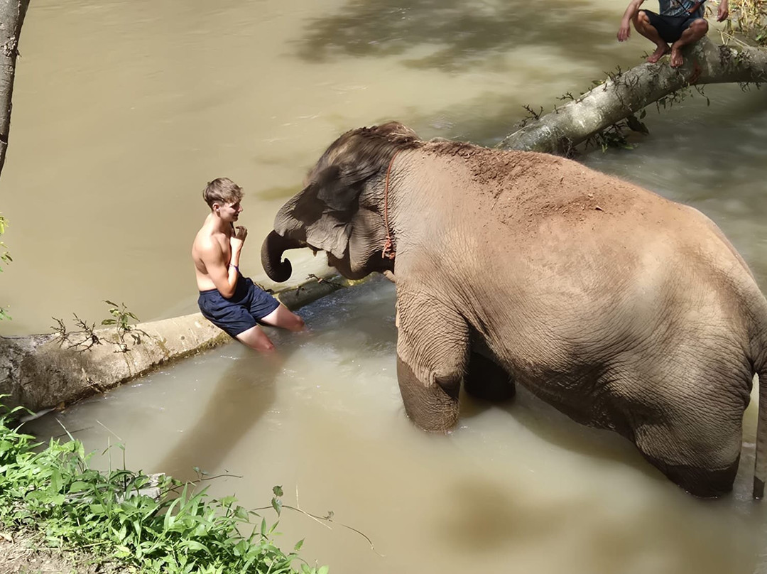 Elephant Sanctuary Care Park-清迈必去景点