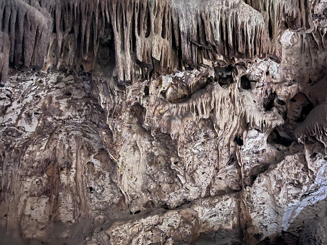 Hato Caves-威廉斯塔德必去景点