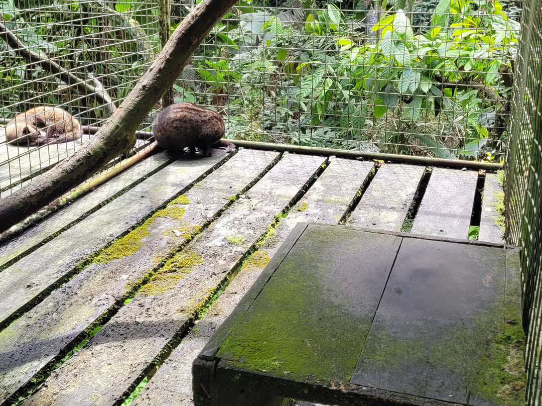 Satria Agrowisata-坦帕克西林必去景点