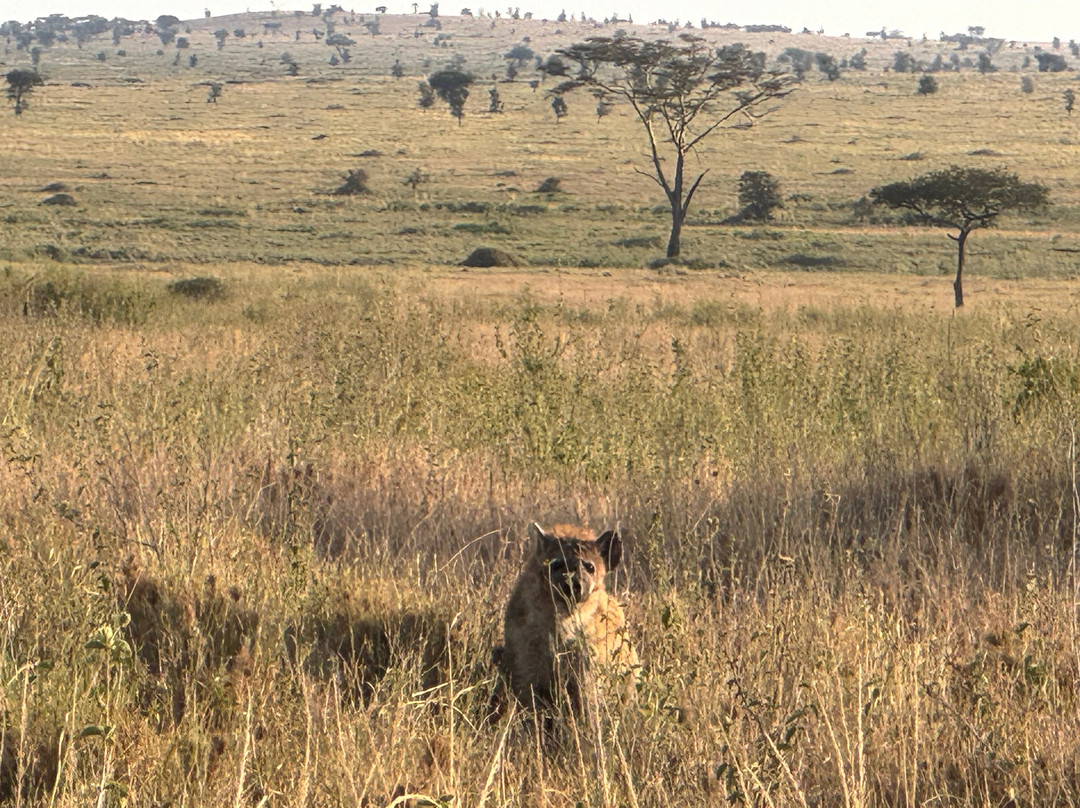Obama Africa Safari-阿鲁沙必去景点