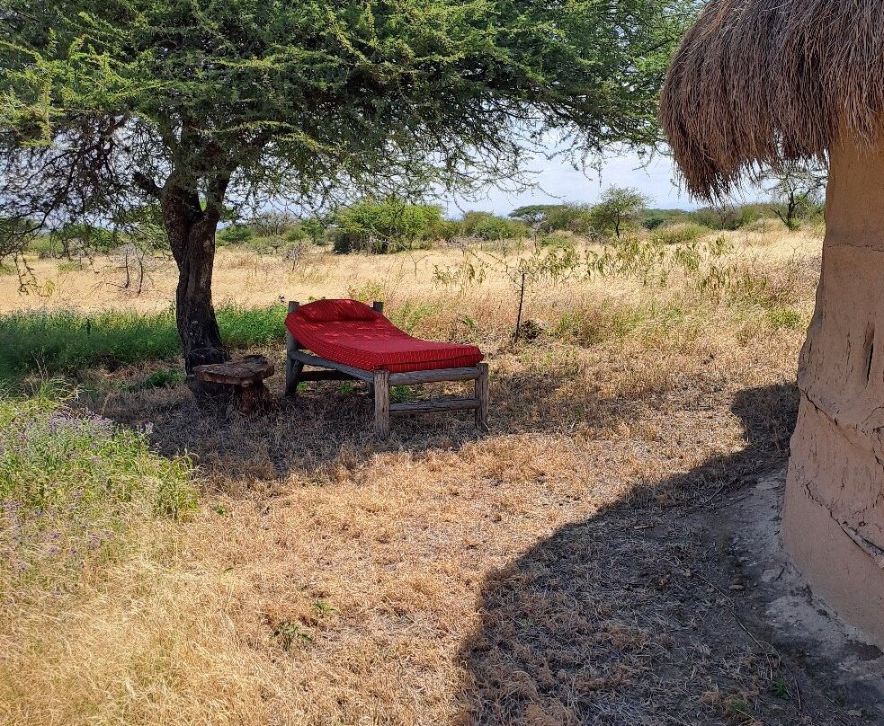 Maasailand Milele Tembo Lodge主图