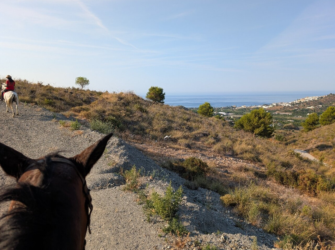 Andale Riding Nerja-内尔哈必去景点