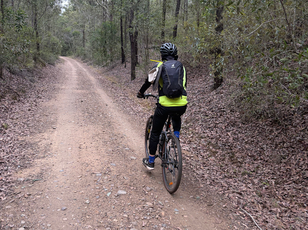Out There Cycling-Blackbutt必去景点