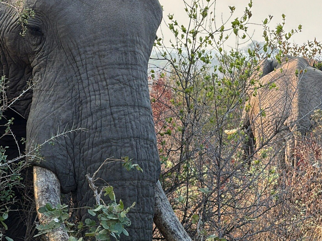 Ates Africa - Tours & Safaris-开普敦中心区必去景点