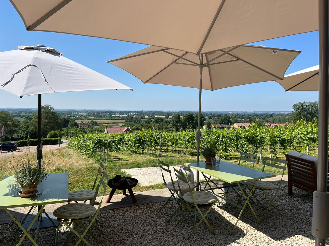 Wraxall Vineyard-Wraxall必去景点