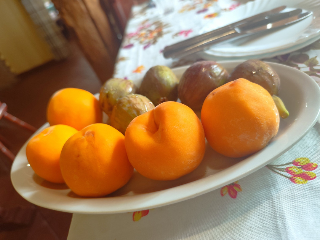 Agriturismo Radici Contadine