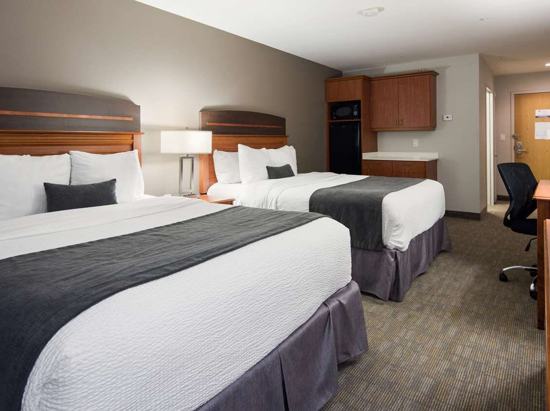 蒙古顿酒店住宿-Best Western Plus Moncton