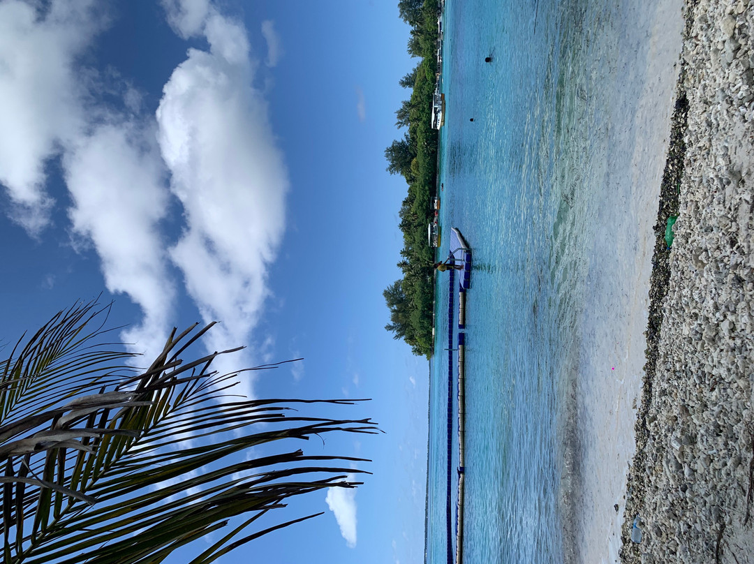 Addu Scuba Dive Maldives-阿斯杜太阳岛必去景点