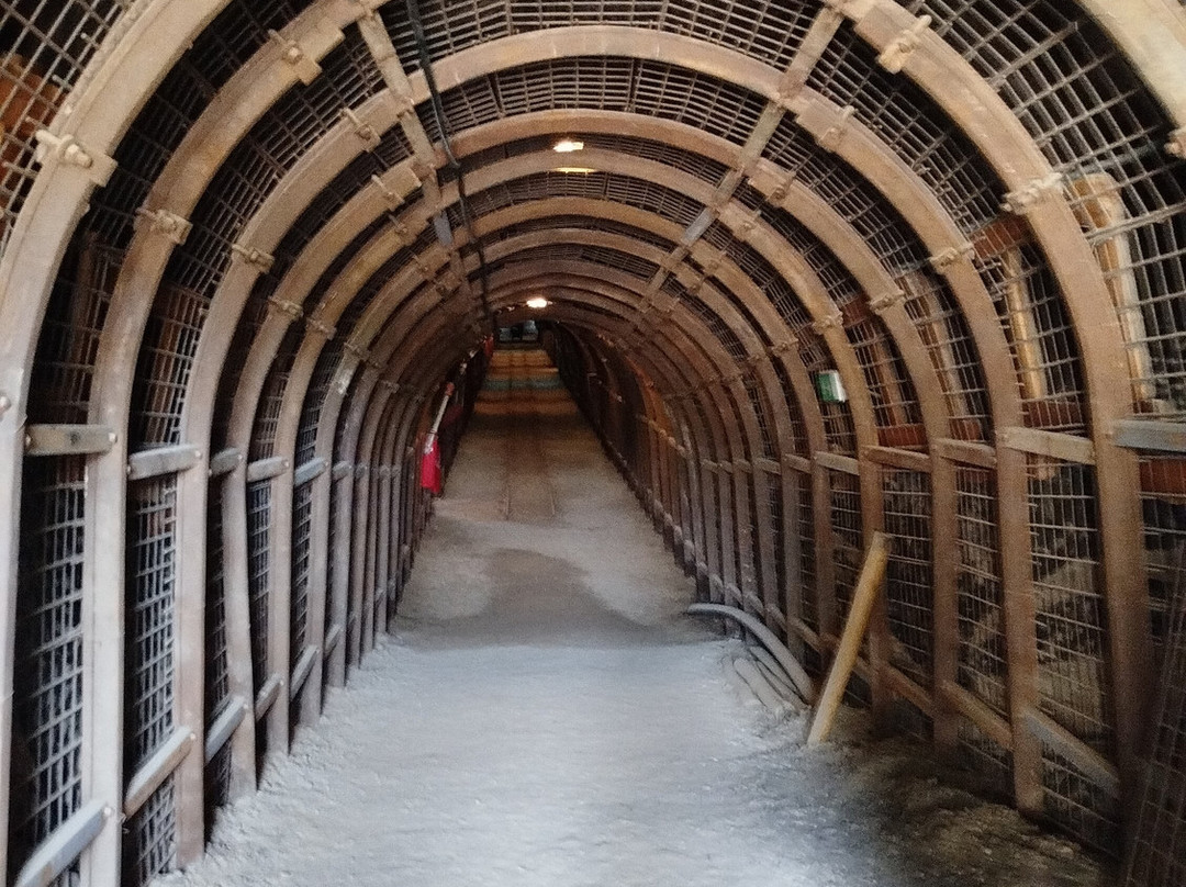 Museo del Carbone-Carbonia必去景点