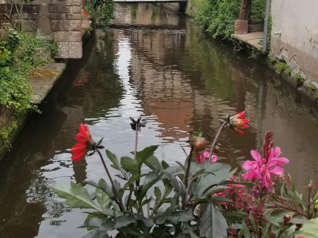 Wissembourg Ramparts-维桑堡必去景点