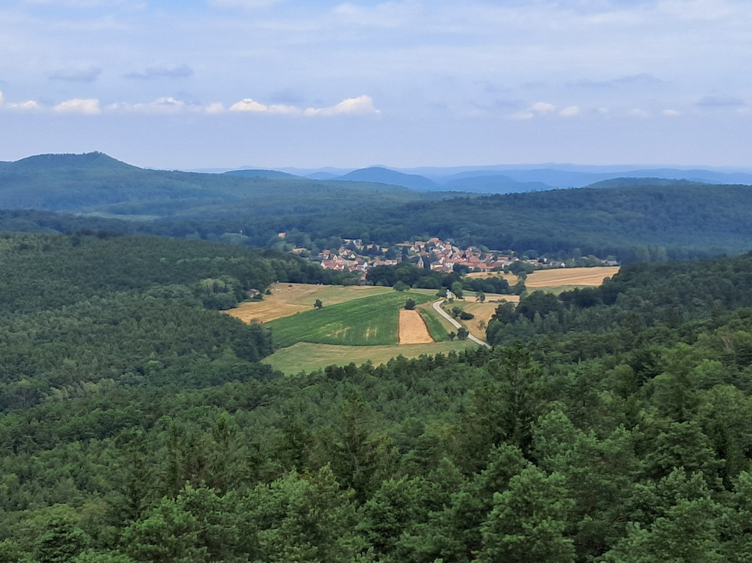 Chemin Des Cimes Alsace-Drachenbronn-Birlenbach必去景点