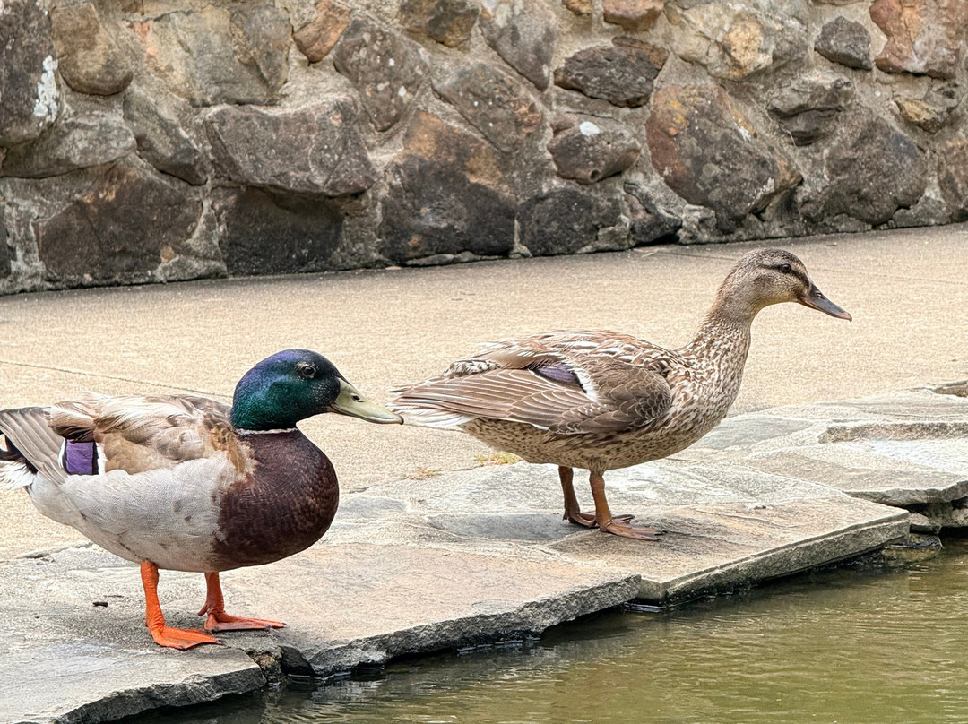 Jim Saucier Memorial Park-南海文必去景点