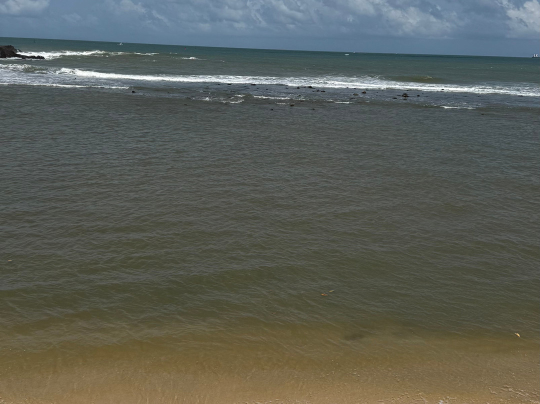 Dinu Ceylon Tours-Kammala必去景点