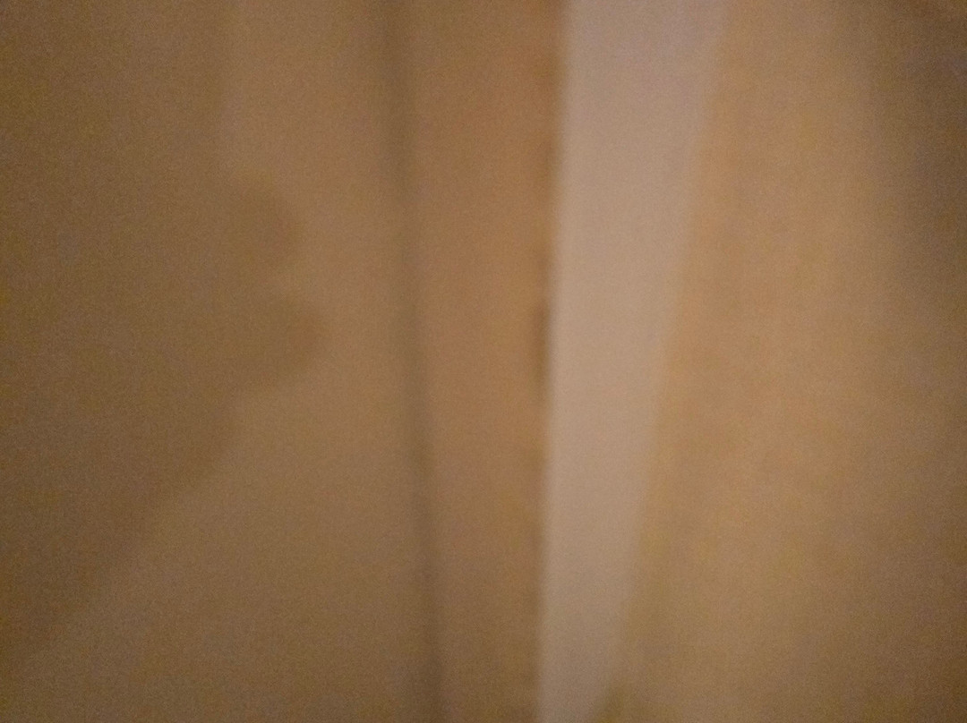 阿瓦德斯内华达皇宫酒店主图