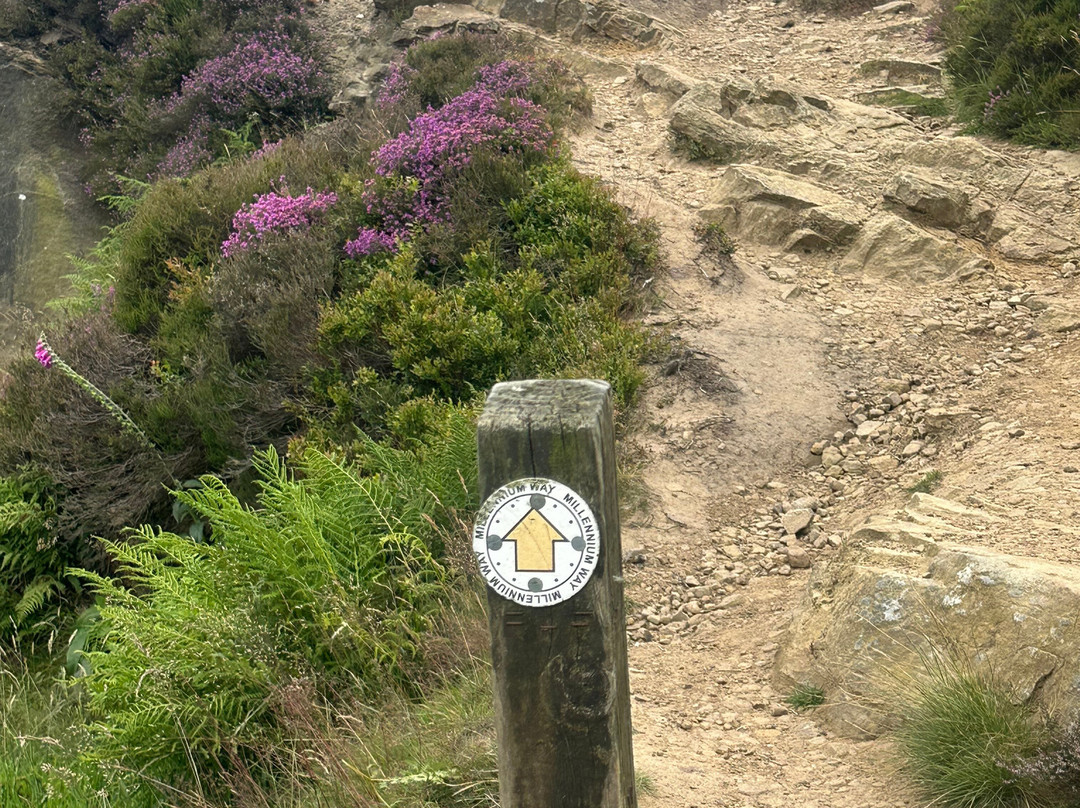 Ilkley Moor-伊尔克利必去景点
