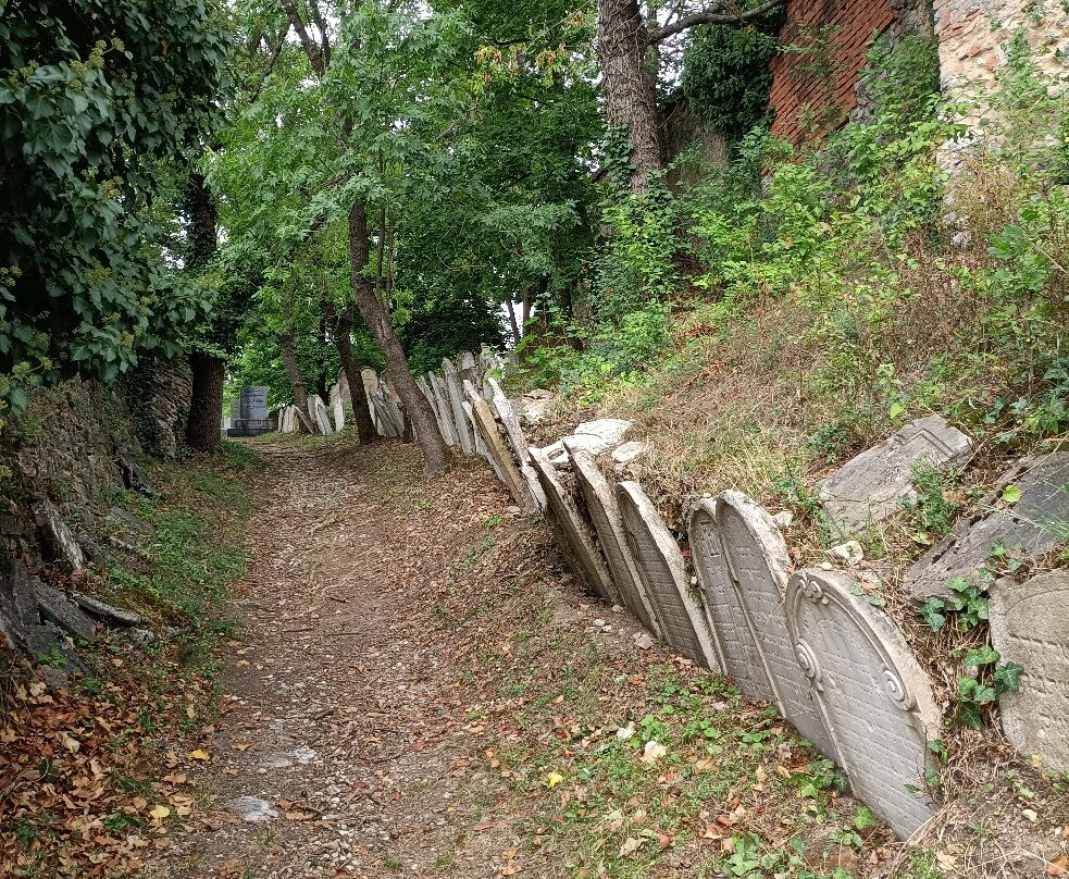 Židovský hřbitov-米库洛夫必去景点