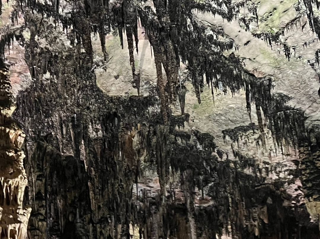 Cuevas de Artà-卡普德佩拉必去景点