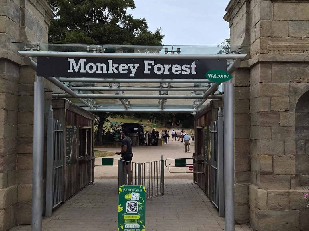 Trentham Monkey Forest-特伦特河畔斯托克必去景点
