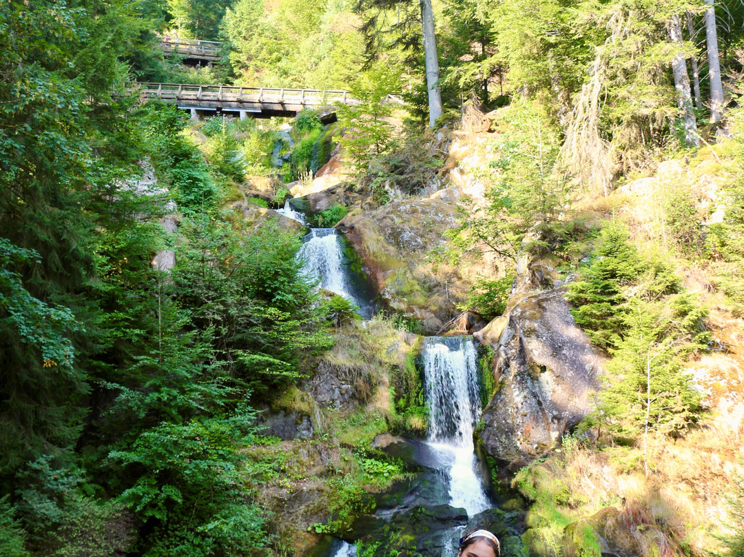 Triberger Waterfall-特里贝格必去景点