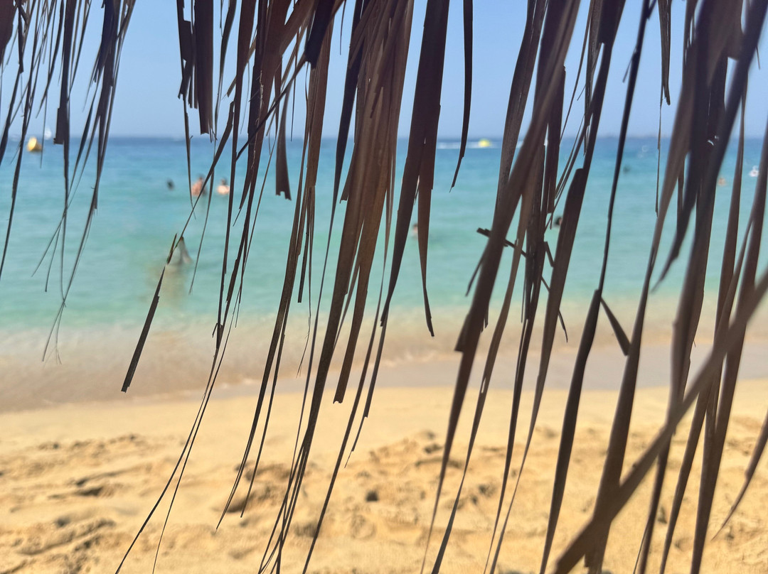Makris Gialos Beach, Kefalonia-Lassi必去景点