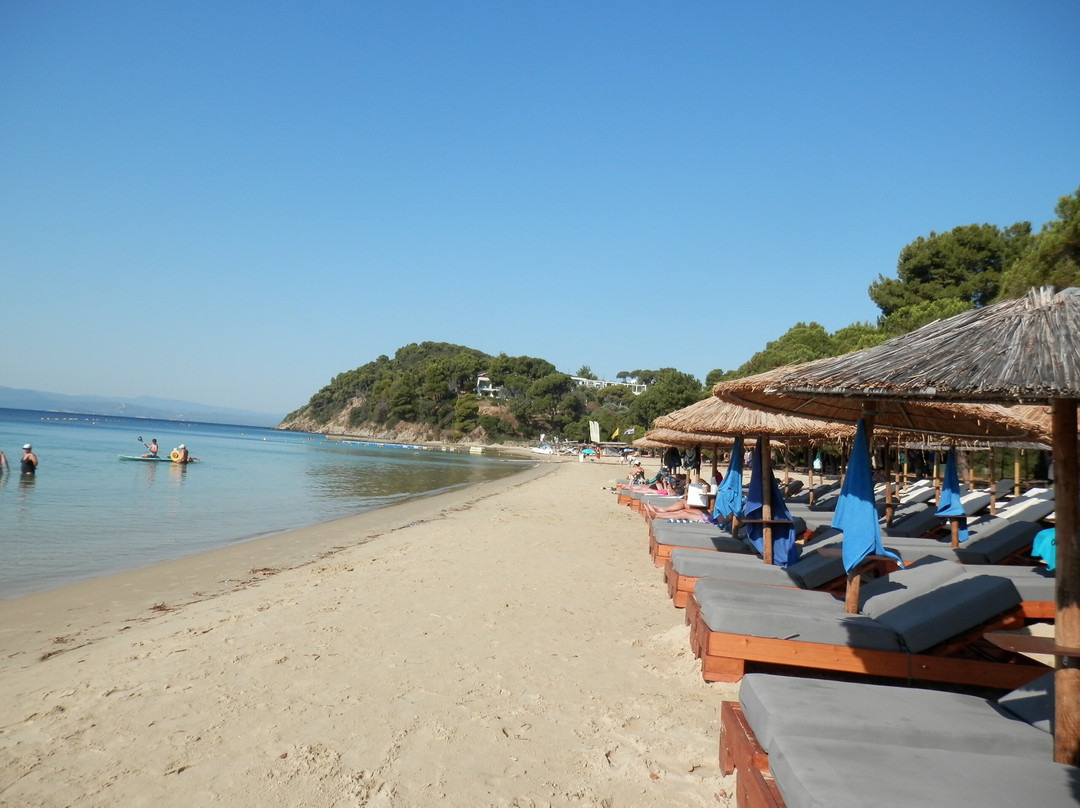 Koukounaries Beach-Koukounaries必去景点