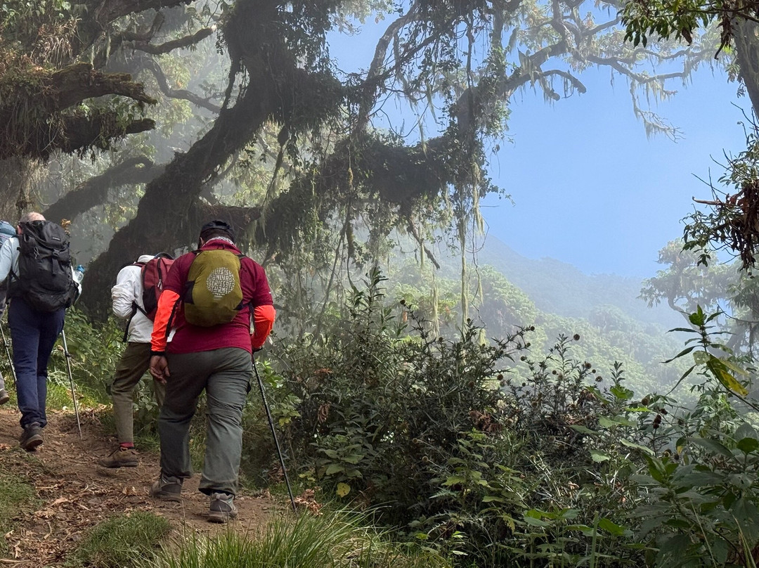 Mount Meru-阿鲁沙国家公园必去景点