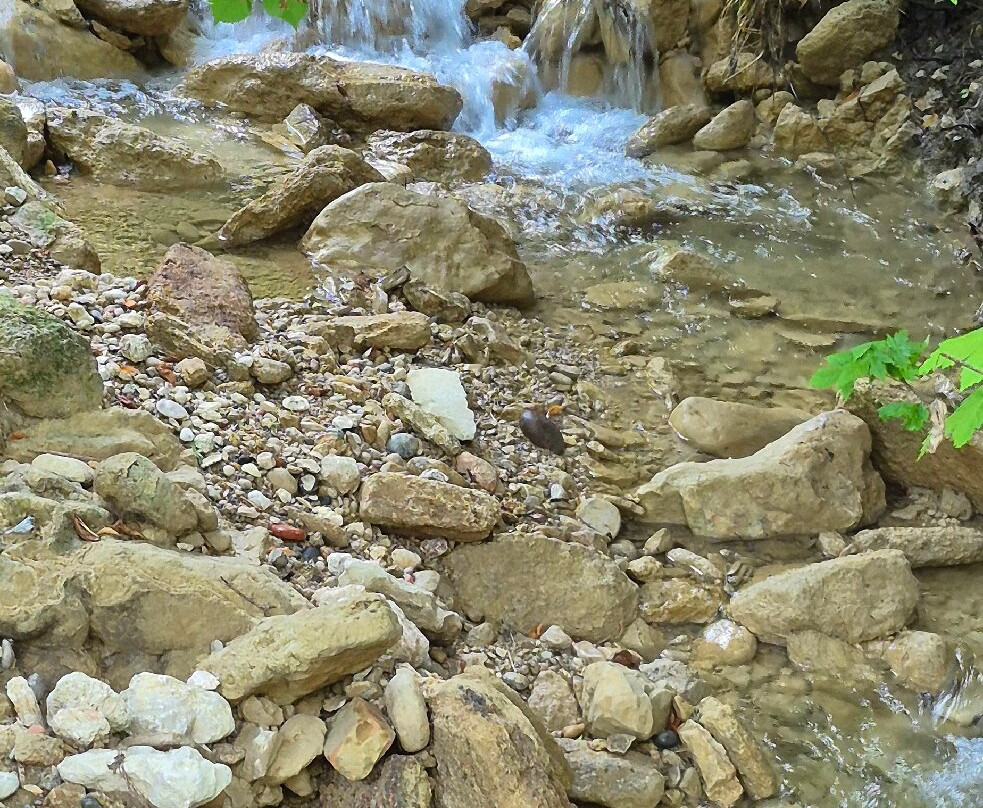 Muhlbachschlucht-Tengen必去景点