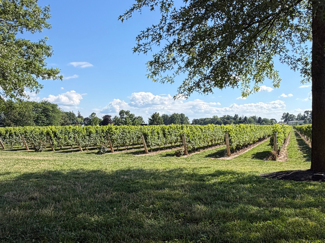 Two Sisters Vineyards-滨湖尼亚加拉必去景点