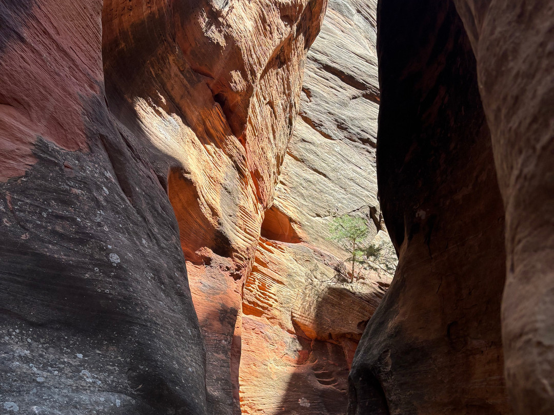 Kanarra Falls-Kanarraville必去景点