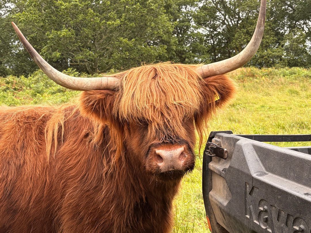 Nether Glenny Farm - Coos and Views-斯特灵必去景点