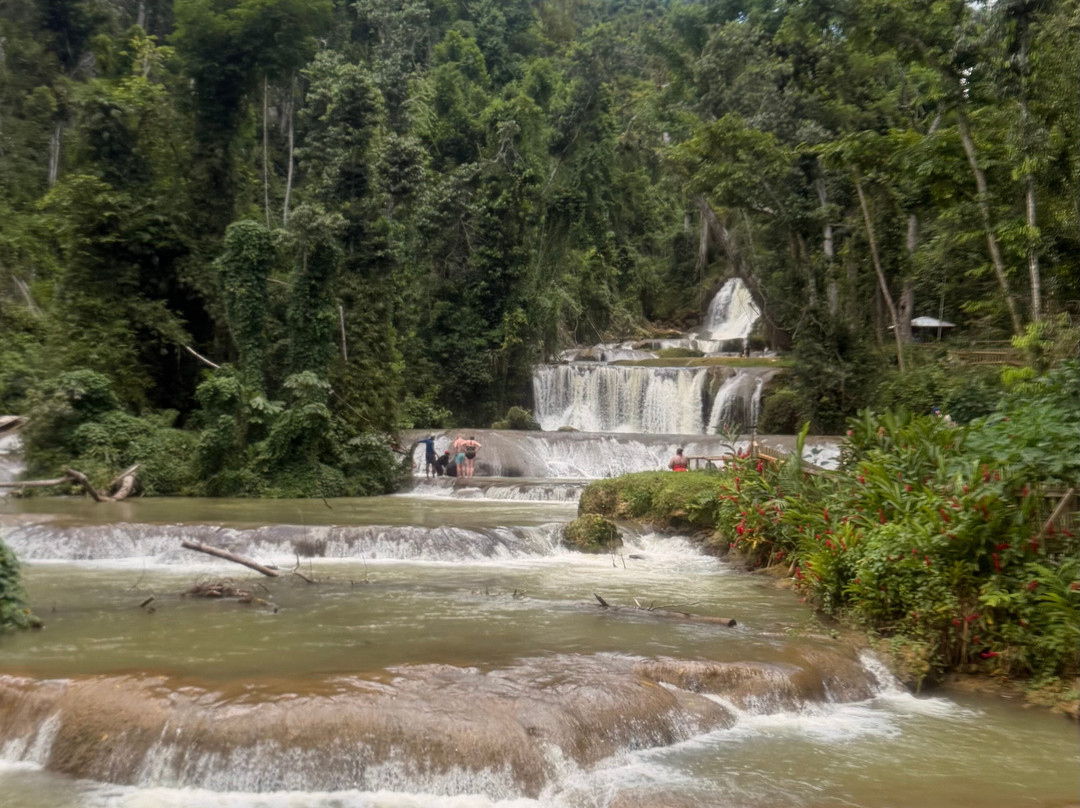 YS Falls-Saint Elizabeth Parish必去景点