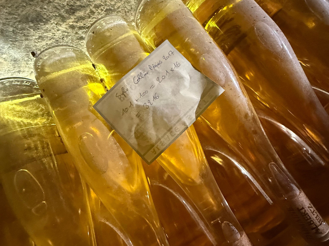 Domaine Albert Seltz-米特贝汉必去景点