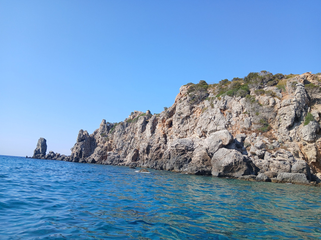 Blue Shark Noleggio Barche